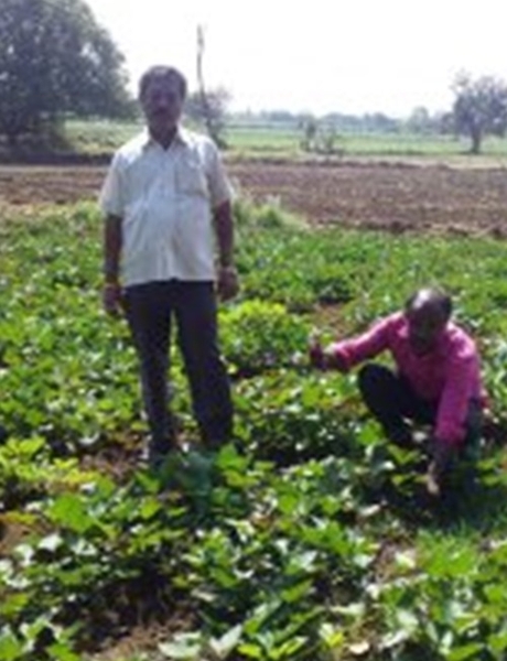 shivanand_farming_sml